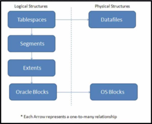 Basic Oracle Database Concepts and Architecture - Standout-dev